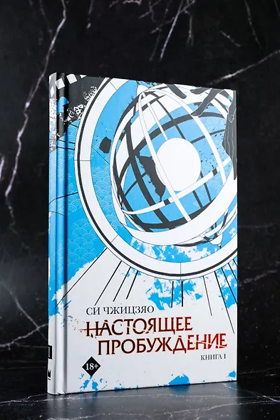 Настоящее пробуждение. Real Awakening. Книга 1 - фото 9