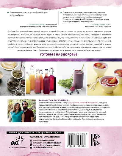 Комбуча. Чайный гриб. Самая полная энциклопедия рецептов - фото 2