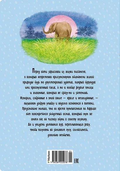 Зачем белке хвост. Рассказы - фото 2