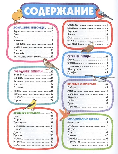 Птицы для малышей - фото 2