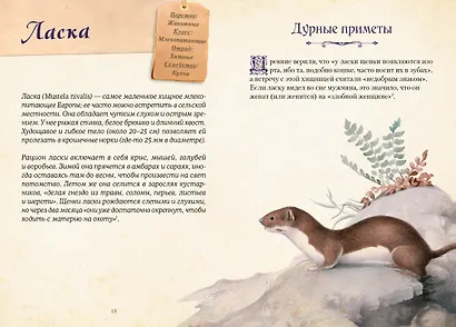 Магические животные. Легенды и суеверия - фото 13
