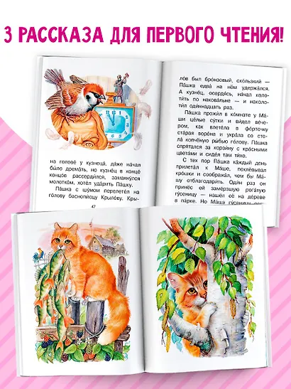 Кот-ворюга и другие рассказы о животных - фото 5