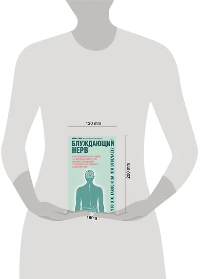 Блуждающий нерв. Что это такое и за что отвечает? - фото 7