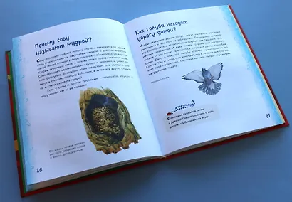 Миллион вопросов о животных, обо мне и мире вокруг и самых разных любопытных вещах - фото 5