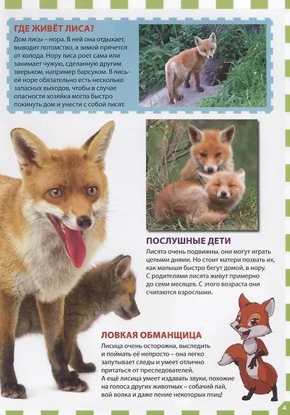 Детеныши животных - фото 5