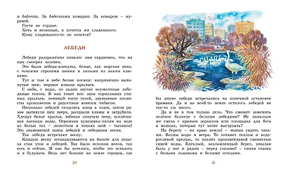 Лесные тайнички - фото 3