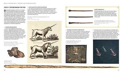 Фантастические твари. Природа чудес волшебного мира - фото 5