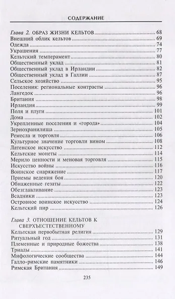 Кельты. Воины и маги - фото 7