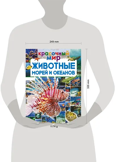 Животные морей и океанов - фото 3