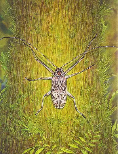 Азбука диковинных насекомых: Для взрослых и детей - фото 5