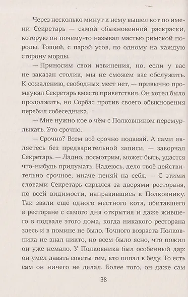 Про котов, чаек, улиток и людей - фото 4