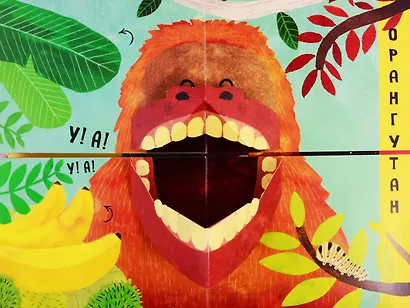 Путаница в джунглях. Кто сказал Хрю?! - фото 3