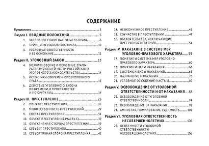 Общая часть российского уголовного права (в таблицах и схемах). Учебное пособие - фото 2