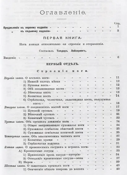 Нога лошади. Ее строение, функционирование и ковка - фото 2