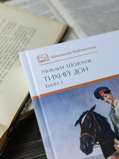 Тихий Дон. Книга 1 - фото 10