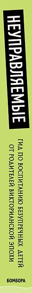 Неуправляемые. Гид по воспитанию безупречных детей от родителей викторианской эпохи - фото 5