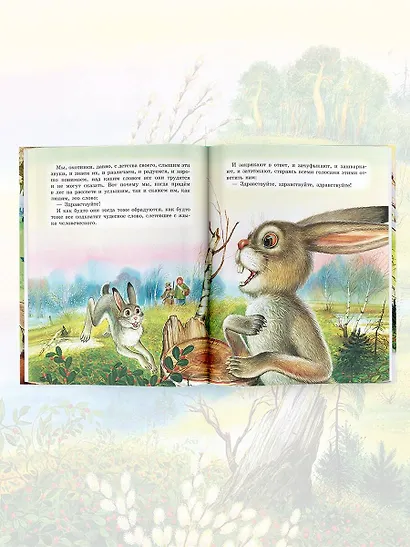 Лисичкин хлеб. Рассказы - фото 9