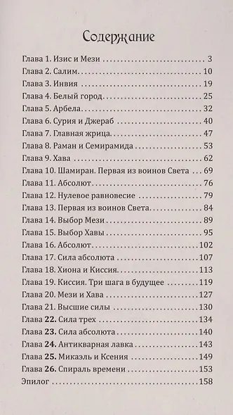 Воин света. Часть 4. Через будущее - в вечность - фото 2