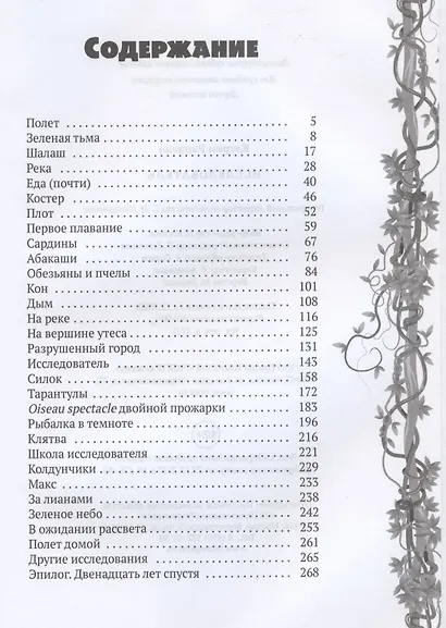 Исследователь - фото 2