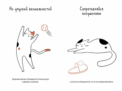 Кот всему голова. Кошачьи мудрости для жизни без стресса - фото 9