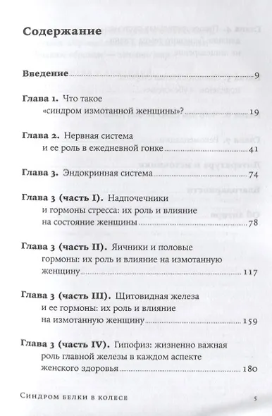 Синдром белки в колесе: Как сохранить здоровье и сберечь нервы в мире бесконечных дел - фото 2