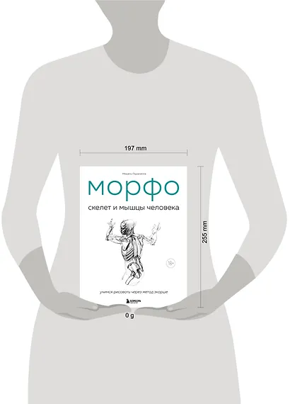 МОРФО. Скелет и мышцы человека. Анатомия для художников - фото 7