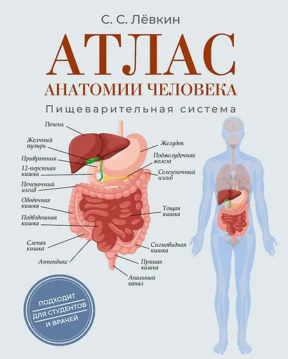 Атлас анатомии человека. Пищеварительная система - фото 1