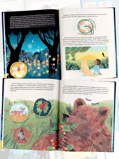 5-минутные истории на ночь для маленького почемучки. 30 историй - фото 6