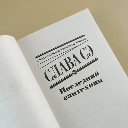 Последний сантехник - фото 8