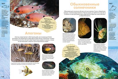 Животные морей и океанов. Большая школьная энциклопедия - фото 8