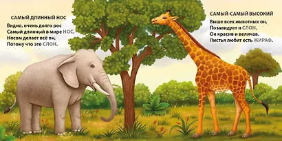 Такие разные птицы. Загадки-рифмы - фото 9