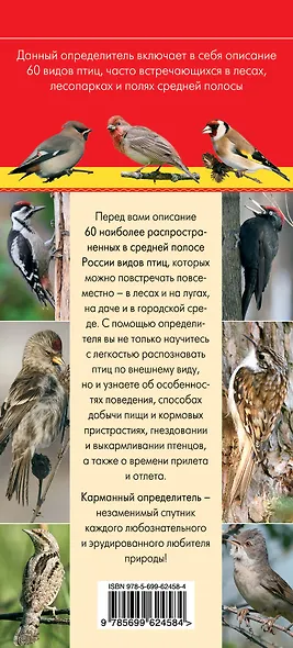 Птицы. Определитель птиц русских лесов и полей - фото 2