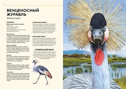Животные Африки в натуральную величину - фото 10