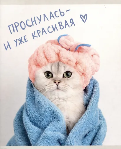 Тетрадь А5 48л лин. "Утро кошечки (Эксклюзив)" скрепка, мелов.картон, поля - фото 6