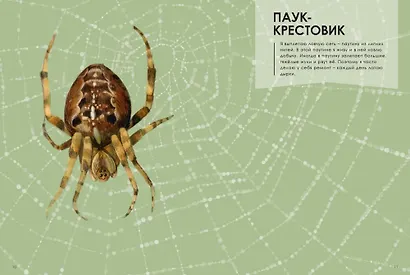 Мастера-строители - фото 4