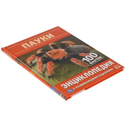 Пауки. 100 фактов - фото 5