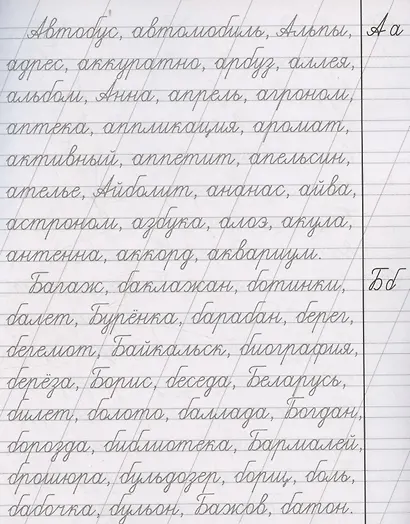 Русский язык. Каллиграфическая пропись. 2 класс: упражнения - фото 3