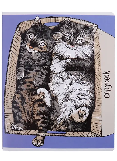 Тетрадь в клетку Феникс+, "Жизнь котов", 48 листов, в ассортименте - фото 4