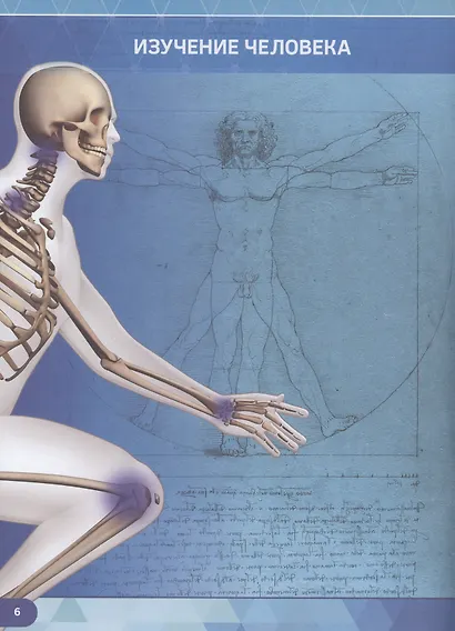 Анатомия человека - фото 3
