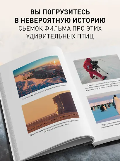 Год с пингвинами. Невероятная жизнь рядом с императорами Антарктиды - фото 6