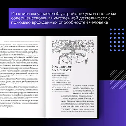 Действие вместо реакции - фото 6