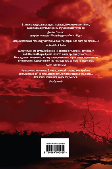 Близнец Бога - фото 2