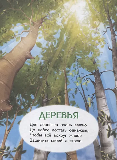 Что растёт в лесу? Стихи для детей - фото 4