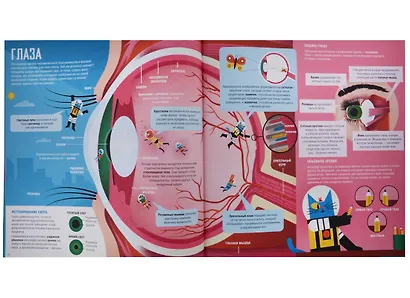 Профессор Астрокот и его путешествие по телу человека - фото 6