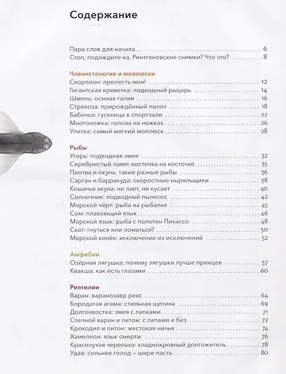 Вижу насквозь. Уникальные рентгеновские снимки животных - фото 8