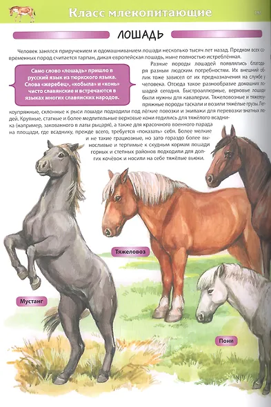 Животные. Детская энциклопедия - фото 8