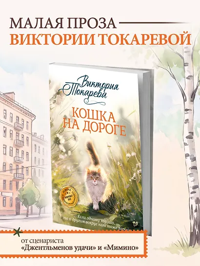 Кошка на дороге - фото 4