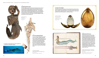 Фантастические твари. Природа чудес волшебного мира - фото 8