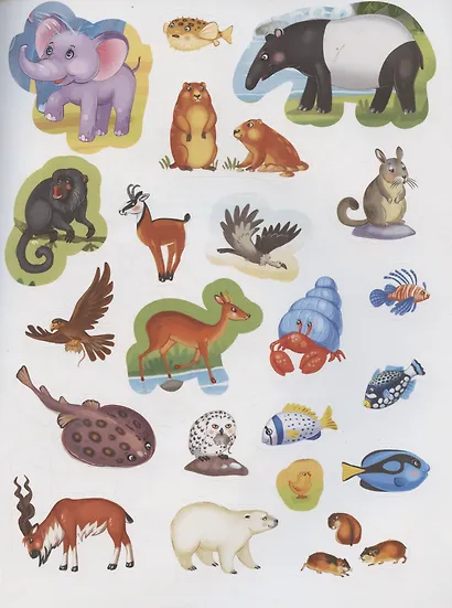 Животные. Играй и приклеивай - фото 3