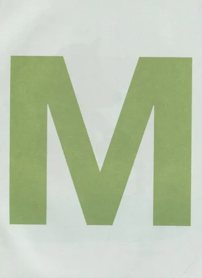 СКАЗОЧНАЯ АЗБУКА мат.ламин.обл. выбор.лак, офсет  202х257 - фото 4